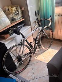 Bici da strada in carbonio