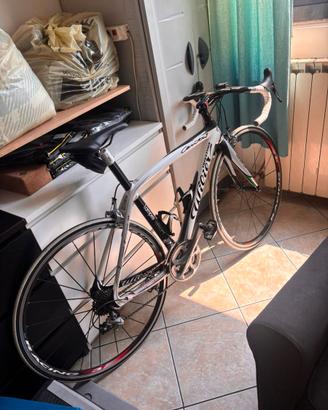 Bici da strada in carbonio