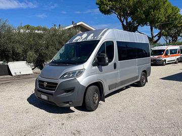 Minibus per trasporto disabili usato Ducato 290