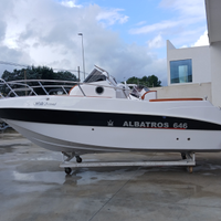 Albatros 646 Walk Around