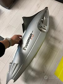 Cerena posteriore F12