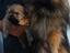 Immagine 4