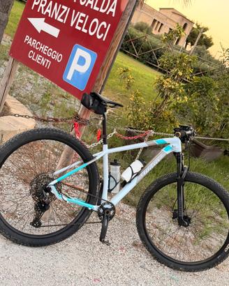 MTB Wilier Triestina