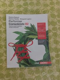 Performer consolidate b2 