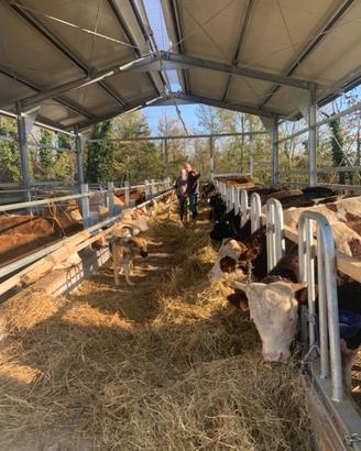 Cascina con casa abitabile stalla e terreni