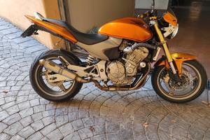 Hornet 600