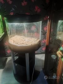 acquario 