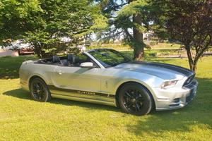 mustang 