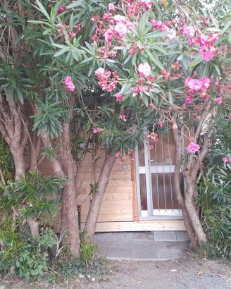 Bungalow/casetta in campeggio a Borghetto Santo Sp