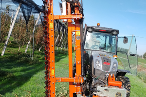 Potatura meccanica contoterzi