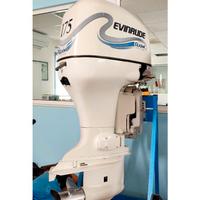 Furoibordo Evinrude E 175 usato
