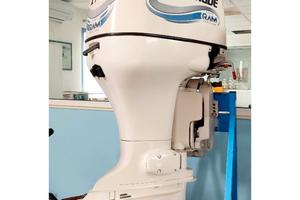 Furoibordo Evinrude E 175 usato