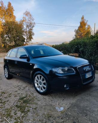 Audi A3 8p 2.0TDI