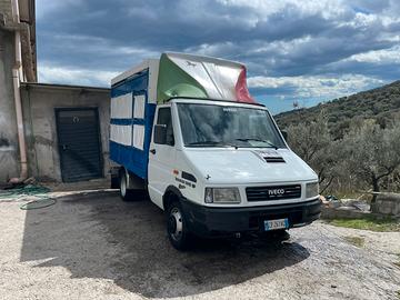 Daily trasporto animali