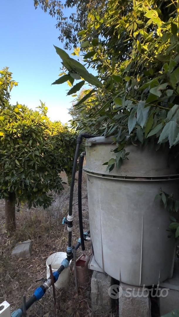Terreno Agricolo: Pozzo, Piante, Rudere - Vista 4