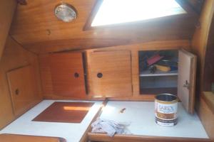 Cabinato a vela New Optimist Carter 38