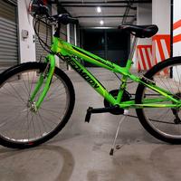 Bici bambino