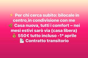 Bilocale - Zona centro