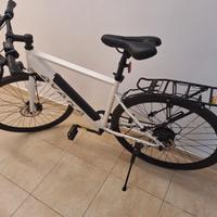 Bici elettrica Avaka R1