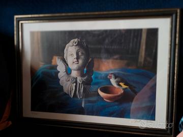 serigrafica di Antonio Sciacca