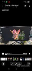 Monitor Gaming KTC H24S17P 24 pollici, nuovo 