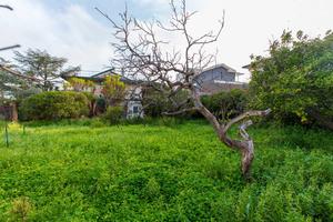 Terreno Edificabile - Sant'Agata li Battiati