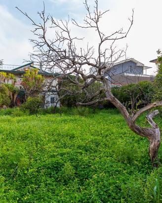 Terreno Edificabile - Sant'Agata li Battiati