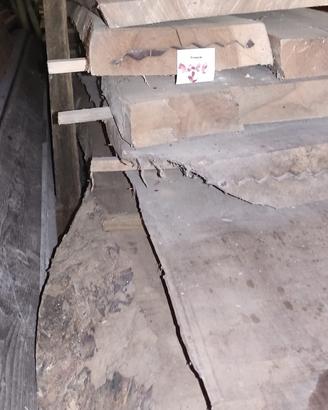 Tavole  in legno