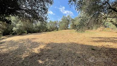 Terreno di 5500 m² a Pieve a Nievole