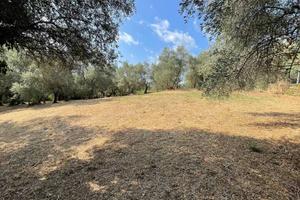 Terreno di 5500 m² a Pieve a Nievole