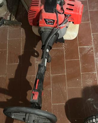 tagliaerba e decespugliatore 