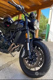 Benelli Leoncino 500