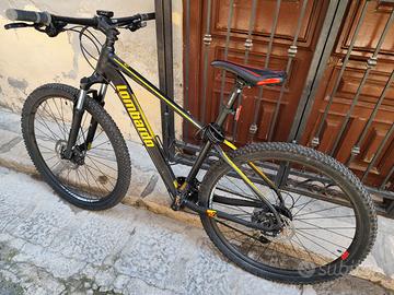 Bicicletta MTB