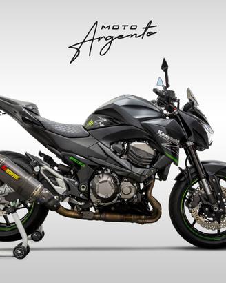 Kawasaki Z 800 Performance