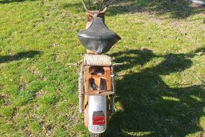 testi pull minarelli