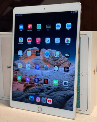 ipad pro 10,5" display retina