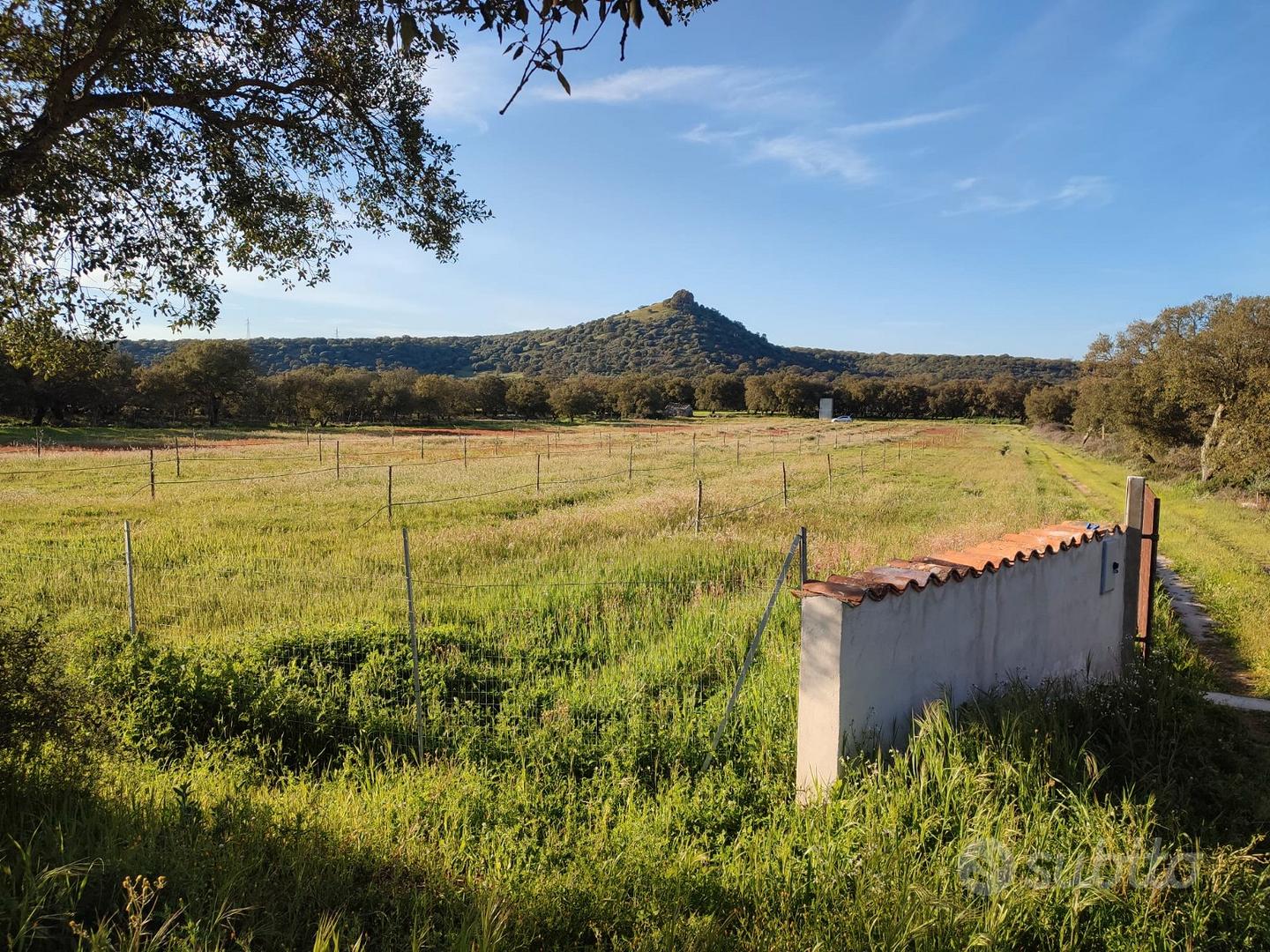 Terreno agricolo a Ploaghe - Vista 4