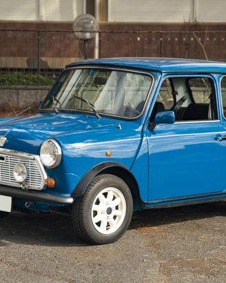 MINI ITALIAN JOB