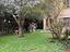 Immagine 19