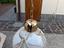 Immagine 1