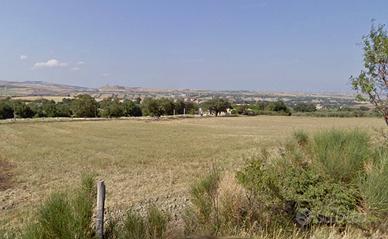 Terreni con fabbricato e deposito (Volturino)