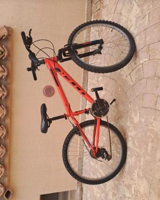 bicicletta 