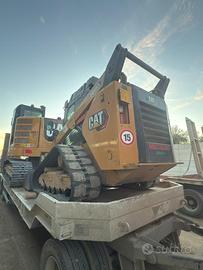 Minipala Cat289D
