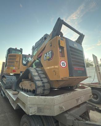 Minipala Cat289D