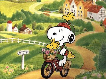 Estate sull'altopiano di asiago