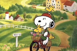 Estate sull'altopiano di asiago