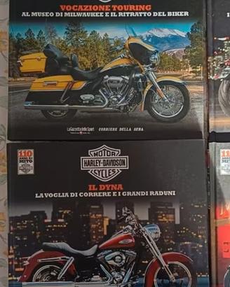 collezione libri e cd