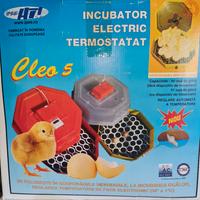 INCUBATRICE UOVA CLEO 5