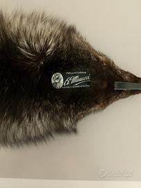 coprispalle volpe argentata