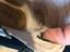Immagine 5